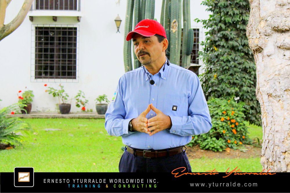 Team Bonding, Team Building & Team Performance LATAM Talleres de Cuerdas Bajas | Team Building Empresarial para el desarrollo de equipos de trabajo